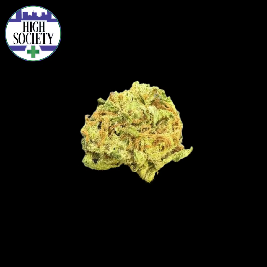 Gorilla Nut